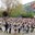 Els alumnes de Mollet ballen danses del món i la sardana molletana