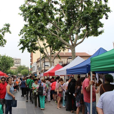 Mollet, referent en serveis als discapacitats, celebra Sant Ponç.