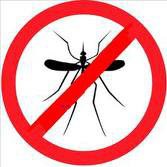 L'Ajuntament controla el mosquit tigre.