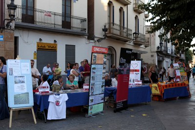 L'Ajuntament i les entitats solidàries de Mollet organitzen un any més la Festa de la Solidaritat. .