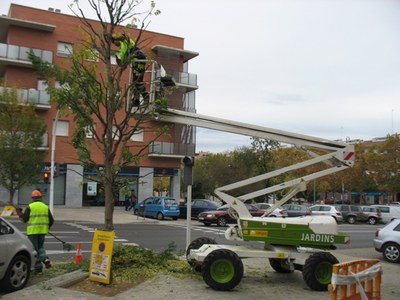 Comença la campanya de recollida de fulles .