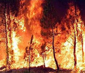 Mesures preventives contra els incendis .