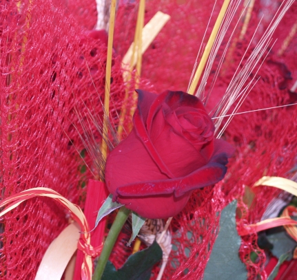Ambient de Sant Jordi a les rambles de Mollet