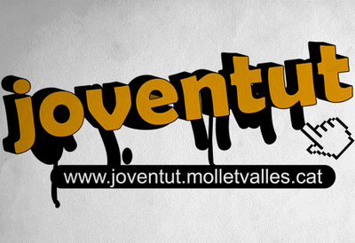 Excel·lent resposta del jovent de Mollet davant el procés participatiu Viver de Projectes.