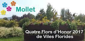 Mollet, orgullosa amb les 4 Flors d'Honor de Viles Florides.