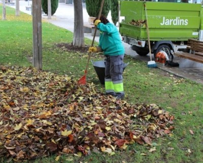 Comença la campanya de recollida de fulles .