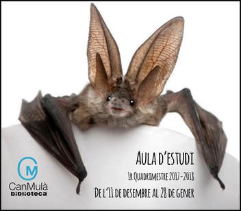 S'obre l'aula d'estudi de la Biblioteca Can Mulà.