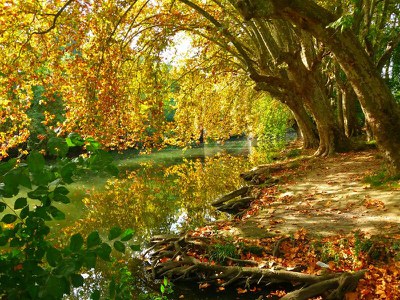 El lliurament de premis del Concurs de Fotografia obre la Festa de Sant Vicenç.