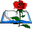 Sant Jordi, dia de llibres i roses