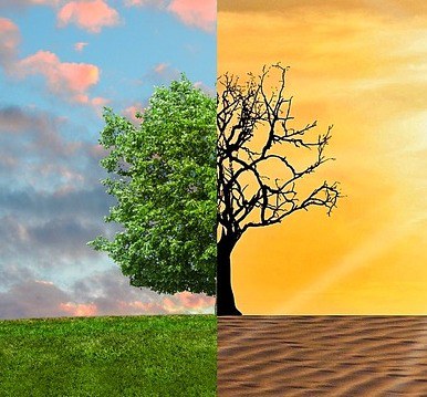L’Ajuntament de Mollet decretarà l’emergència climàtica a partir de l’1 de gener de 2020 .