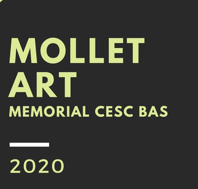 El Museo Abelló convoca Mollet Art 2020. Memorial Cesc Bas, para jóvenes creadores.