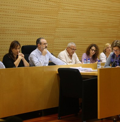 L’Ajuntament crea el Consell de Ciutat.