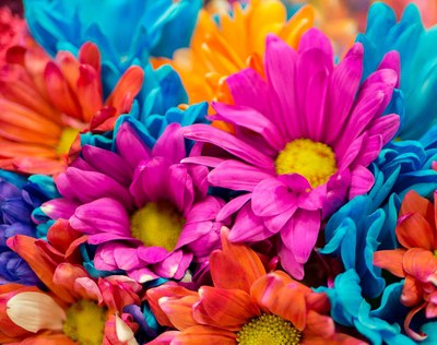 Mollet lidera el ranking de Villas Floridas con 4 Flores de Honor.