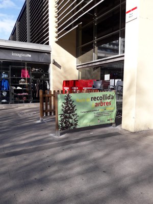 Recicla tu árbol y plantas de Navidad.
