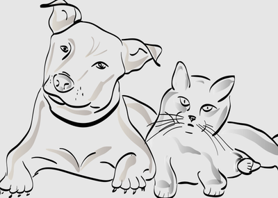 Es redueixen a la meitat els animals recollits a la via pública .