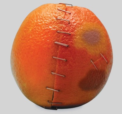 La Junta de Portavoces acuerda adherirse al manifiesto del 25N.