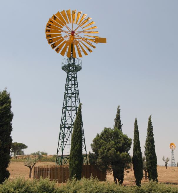 foto quadrada