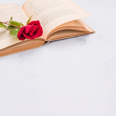 Sant Jordi, la fiesta del libro y de la rosa, también recupera la normalidad en Mollet.