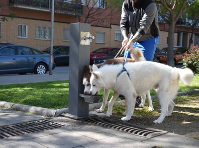  El Ayuntamiento instala 3 nuevas fuentes duales en la ciudad.