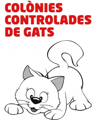 L’Ajuntament presenta el conveni de col·laboració amb Red Solidària Pro Animal  .