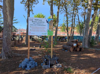 L’Ajuntament de Mollet presenta el refugi bioclimàtic de l’Escola Joan Salvat Papasseit.