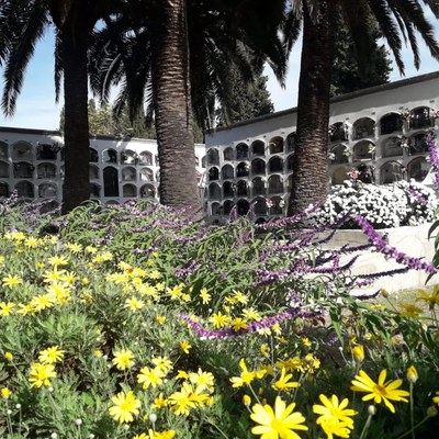 Imagen de archivo del cementerio.