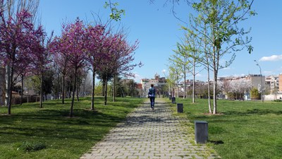 Mollet aprueba el Plan de Infraestructura Verde para consolidar una ciudad más saludable, conectada y resiliente.