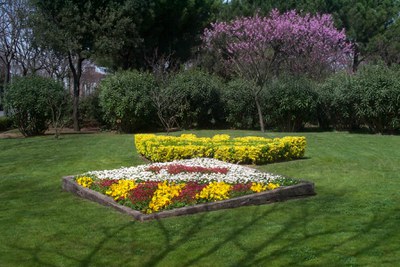 Imagen de Villas Floridas.