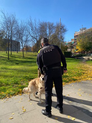 Imagen gráfica de la campaña Jo cuido Mollet