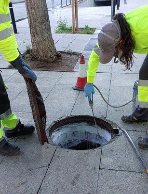 Trabajos de lucha contra las plagas.