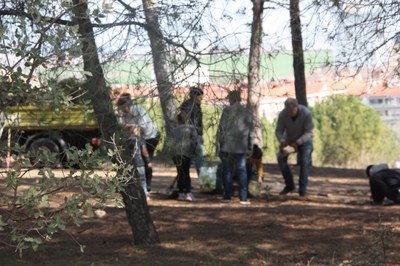 Vuelve la Fiesta del Árbol y la Biodiversidad.