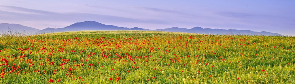 Descubre Gallecs, el Mollet rural y natural.
