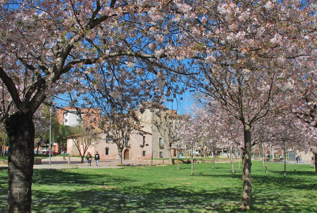 Parque de Can Borrell.