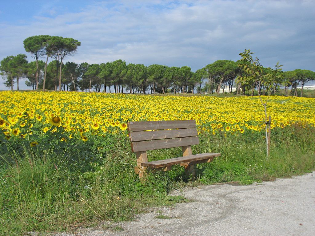 Parque de los Pinetons.
