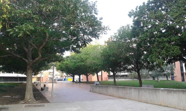 20160927_085637.jpg