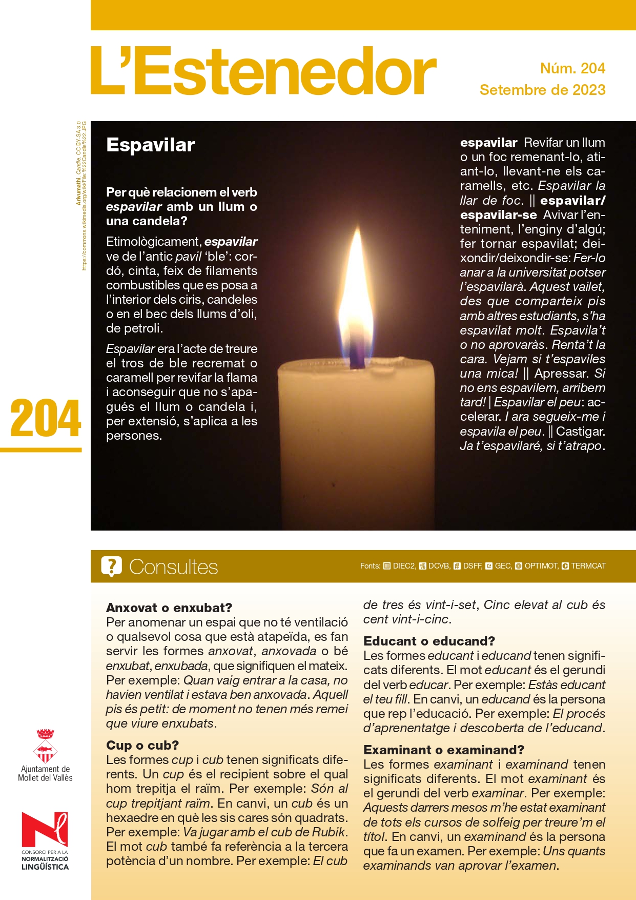 204 L'Estenedor-1_page-0001.jpg