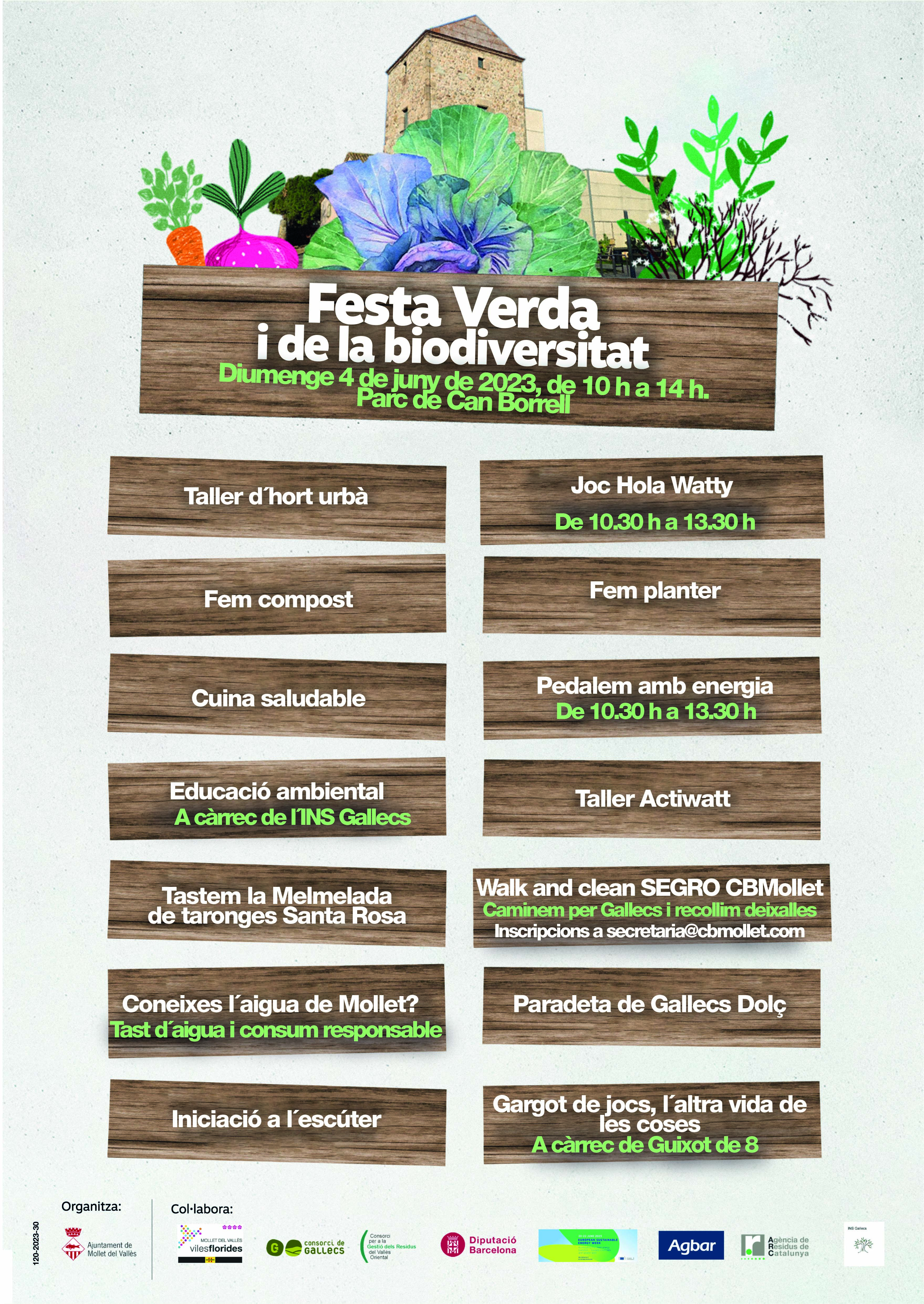 Cartel Festa Verda 23.jpg