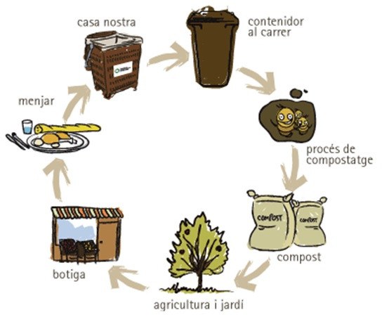 Cicle compost.jpg