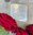 Llamborda flors.jpg