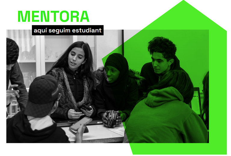 MENTORA 24.2.png