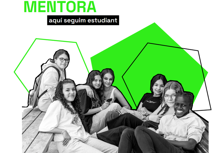 MENTORA 24.png