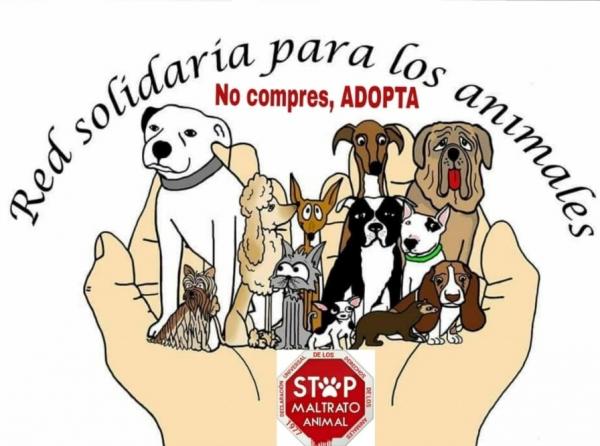 Red solidaria.jpg
