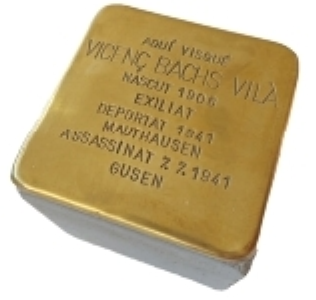 Vicenç 1.png