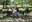 Viles florides 23.JPG