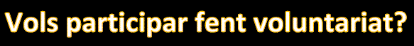 voluntariat 23.png