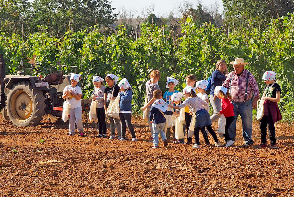 Fira't a Gallecs (la foire de Gallecs).