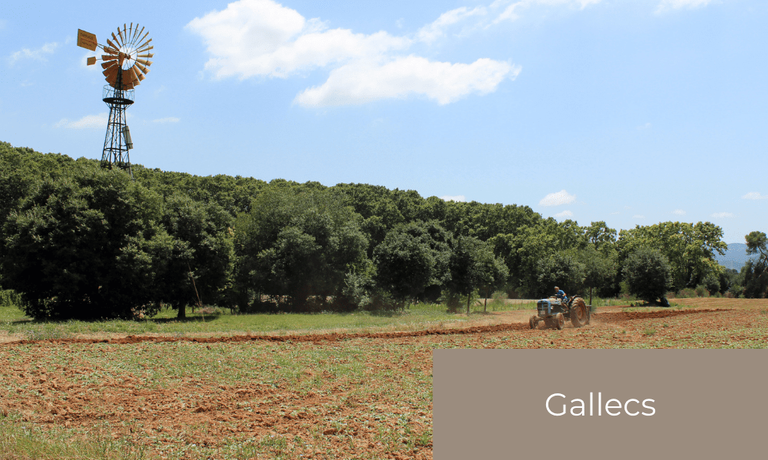 gallecs.png